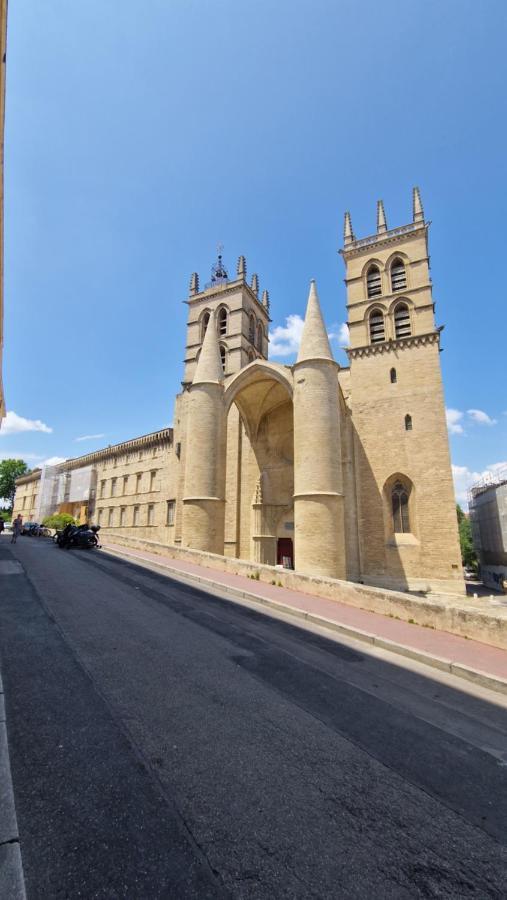 Le Petit Olivier En Coeur De Ville + Parking Incl. Montpellier Exteriér fotografie