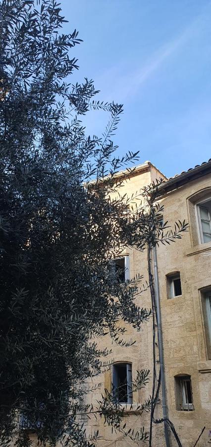 Le Petit Olivier En Coeur De Ville + Parking Incl. Montpellier Exteriér fotografie