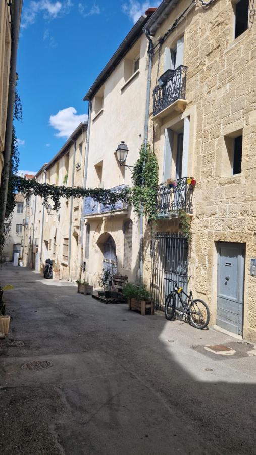 Le Petit Olivier En Coeur De Ville + Parking Incl. Montpellier Exteriér fotografie